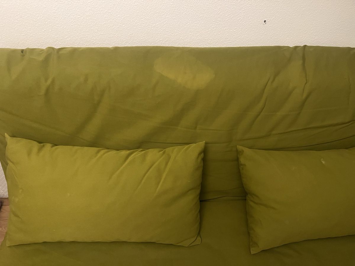 Ligne Roset Divani: Design Schlafsofa Ligne Rose – Usato da Winterthur venduto da folk88s 2