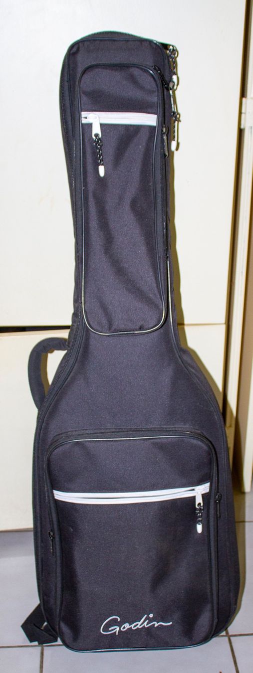 Godin Musikinstrumente: Godin Radium RW Carbon Black – Neu (gemäss Beschreibung) aus Martigny von gar_nd76 5