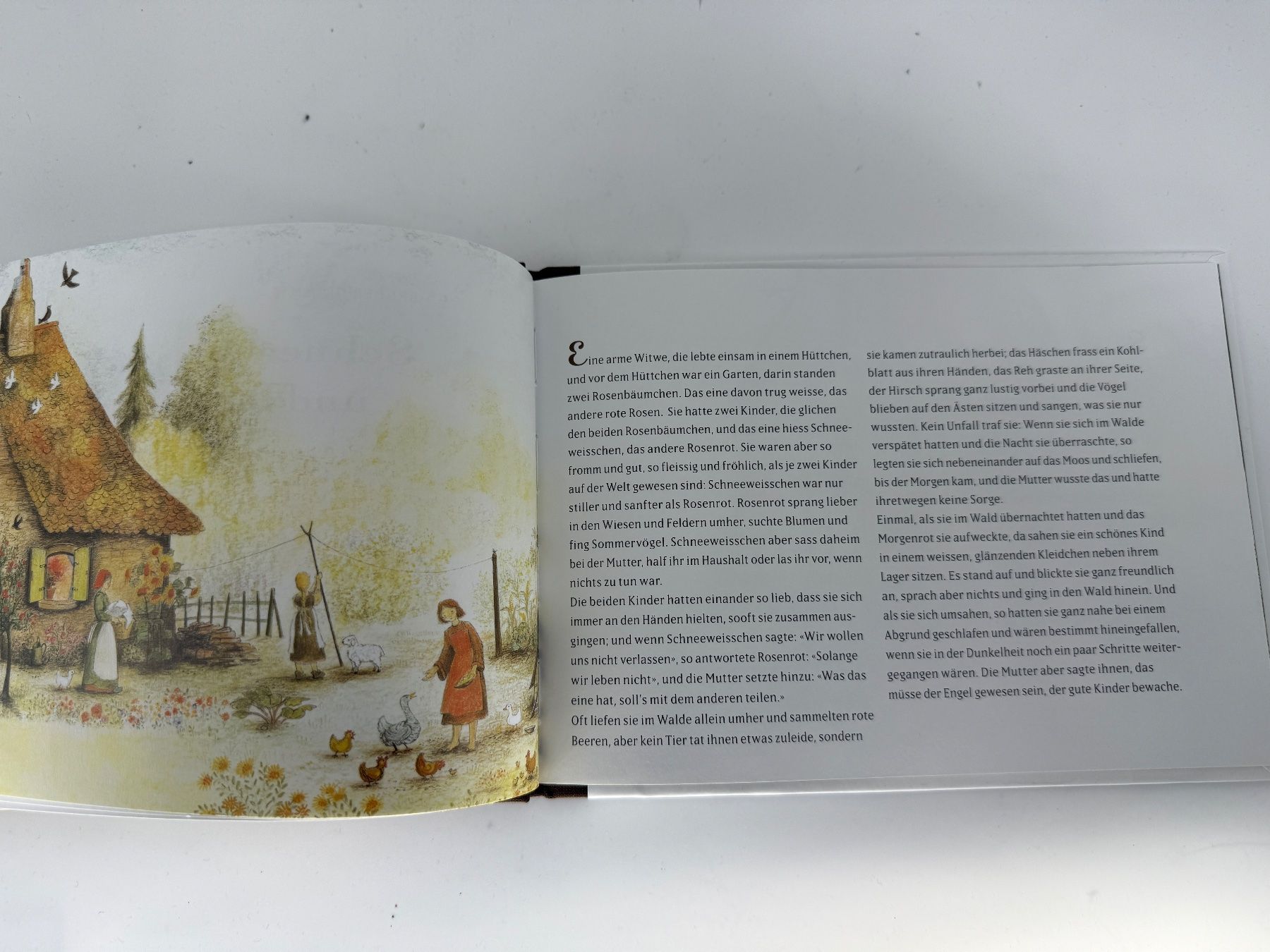 Libri: Kinderbuch Schneeweisschen und Rosenrot – Usato da Auenstein venduto da moin. 1