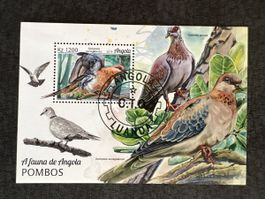 Angola Fauna Pombos 2018 - rare! Oiseaux, pigeons d'Angola