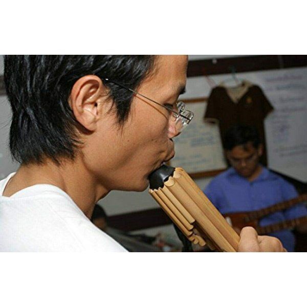 Thai Khaen Instrument / aus Bambus / Isaan Mundorgel (Gebraucht) in ...
