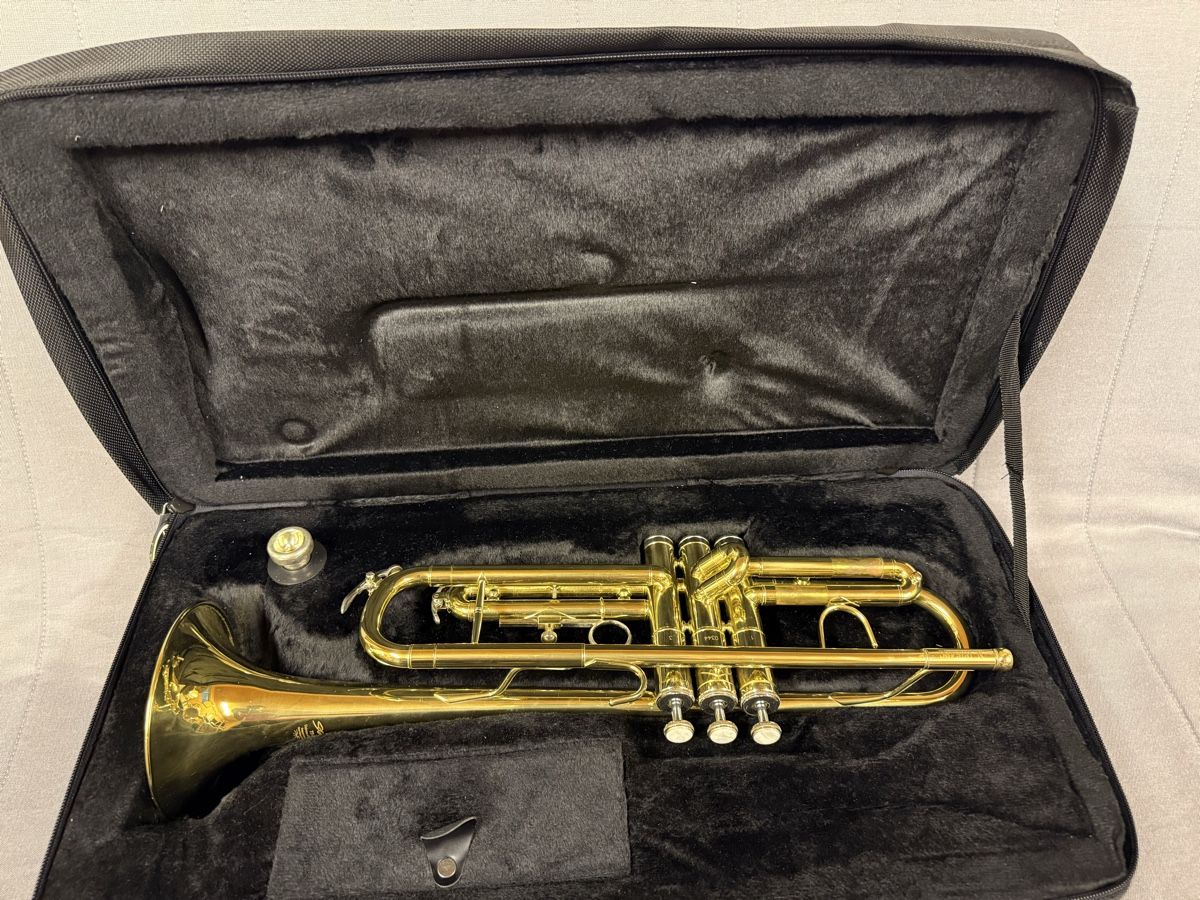 Musikinstrumente: Trompete Stagg 77-T Bb – Neu (gemäss Beschreibung) aus Zürich von ZurichVibe