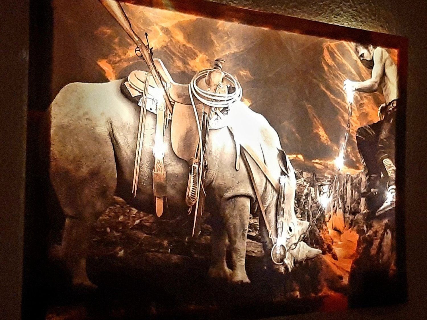 Poster & Bilder: LED Kunst BILD Nashorn und Mann 3D – Neu und originalverpackt aus Kilchberg ZH von ruedi34 2