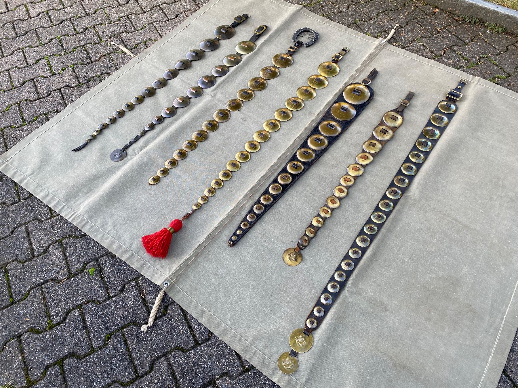 Campanacci mucche: 7 schöne Staatsriemen – Usato da Feldbach venduto da Fea1 2