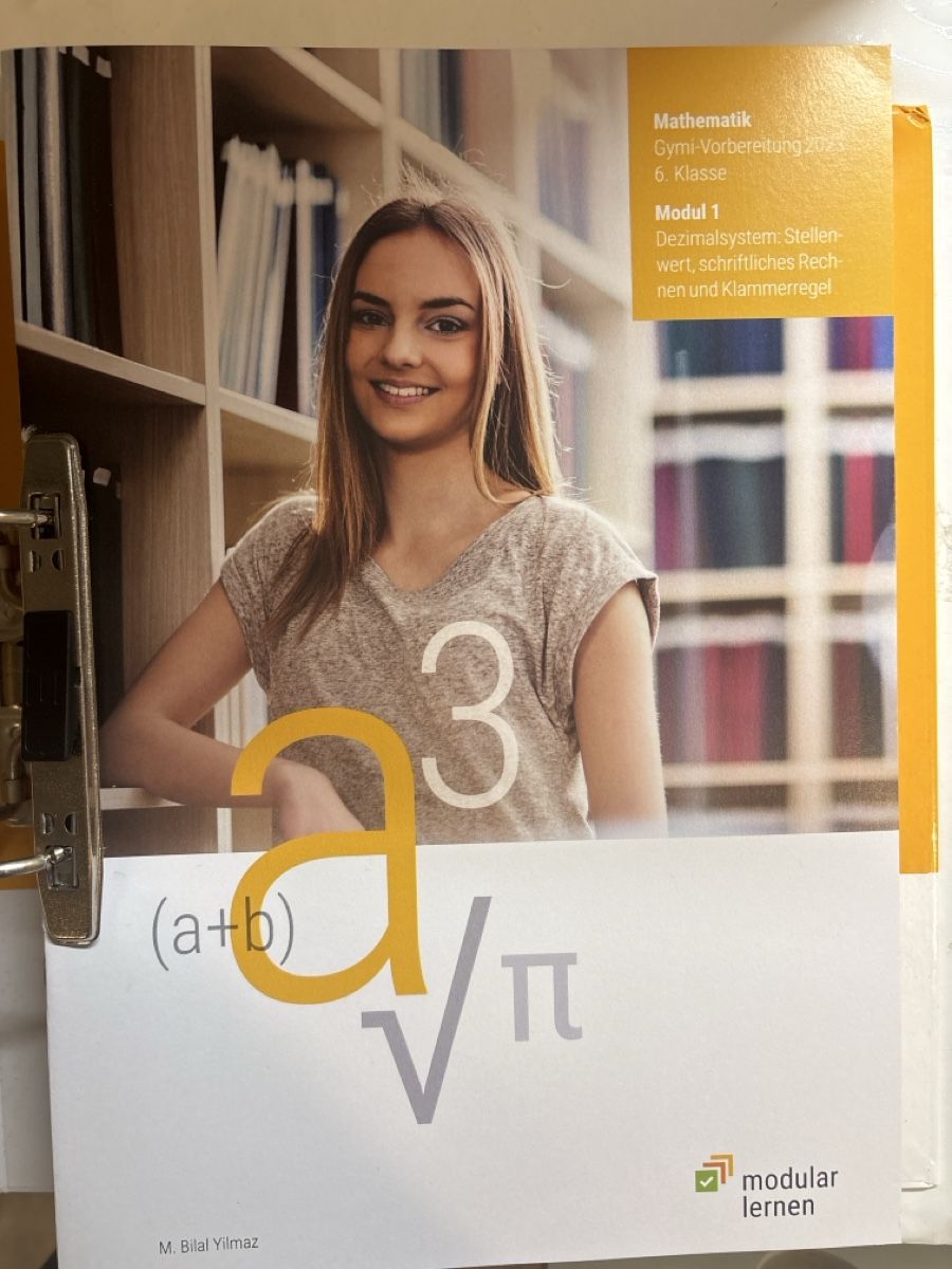 Libri: Mathematik Lernmodule f. Gymnasium  – Usato da Stäfa venduto da Talaso 2