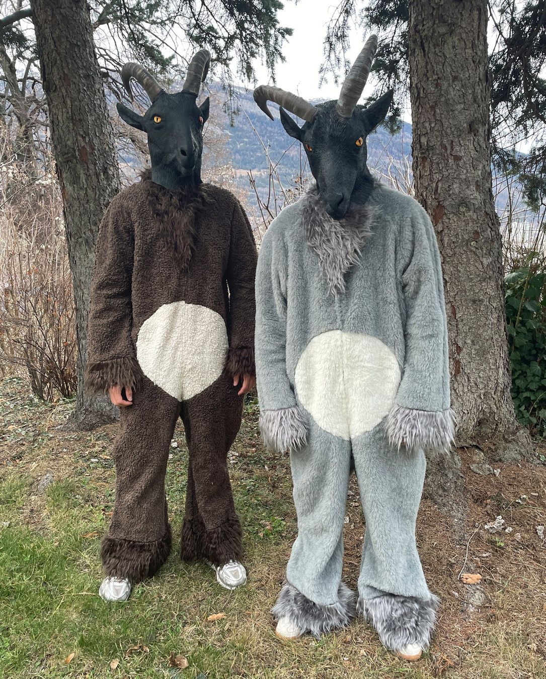 Costumi: Steinbock-Kostüm Grau – Nuovo (secondo la descrizione) da Chur venduto da elifor
