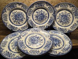 9 Stk. Essteller EIT England blau weiss Blumendekor 19cm.
