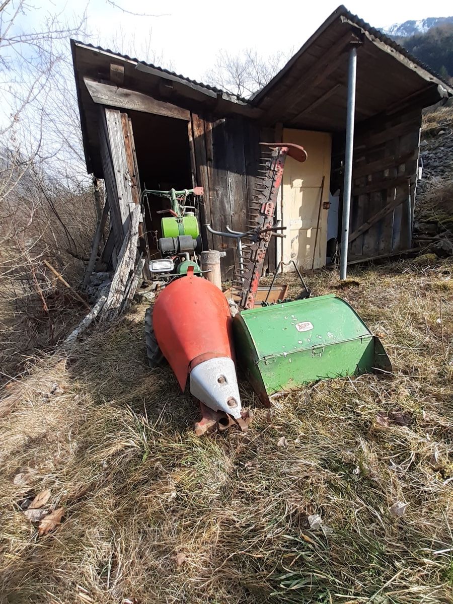 Agria Tutte le macchine: Machine pour jardin Agria – Difettoso da Sion venduto da Nelsonkatz