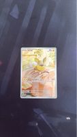 Pokemon Voldi 099/094