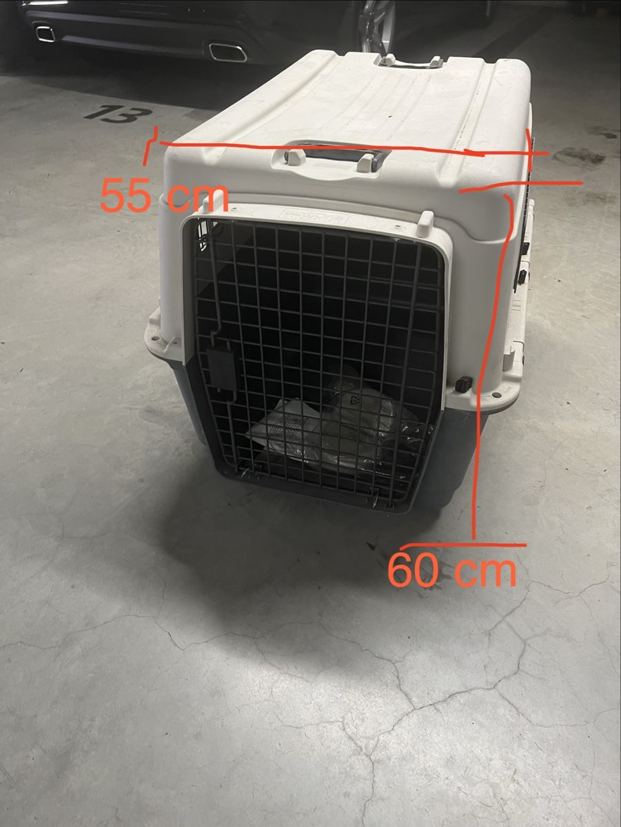 Gabbie, trasporto & Sicurezza: Hundetransportbox – Usato da Aesch LU venduto da Winterfee78