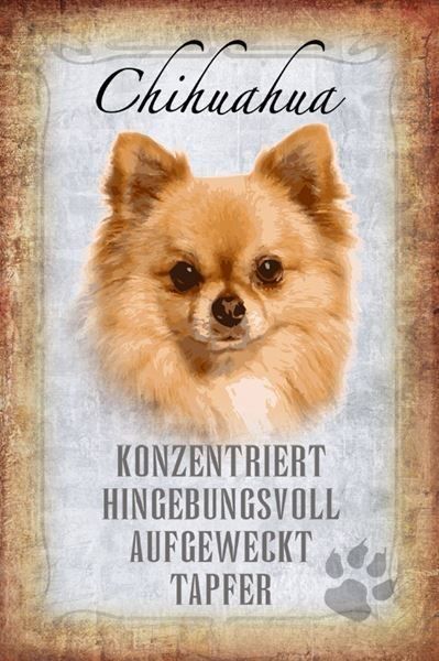 Schilder: Blechschild-STECKBRIEF-CHIHUAHUA HUND – Neu und originalverpackt aus Rupperswil von big-one-sale