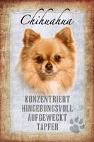 Blechschild-STECKBRIEF-CHIHUAHUA HUND