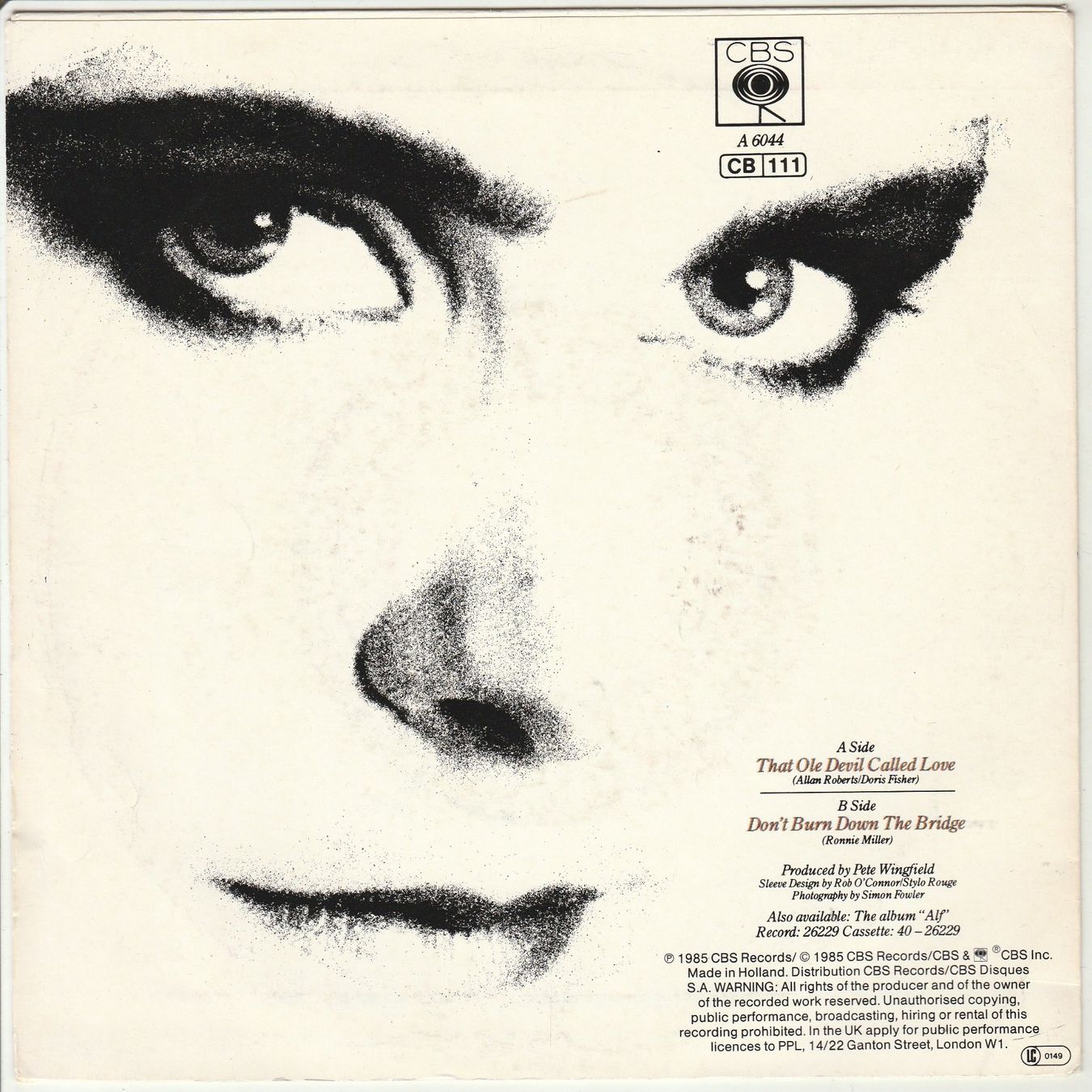 Vinyles: Alison Moyet - That ole devil called Love 7" Vinyl 1985 – D'occasion à Tübach par JamesStone 1