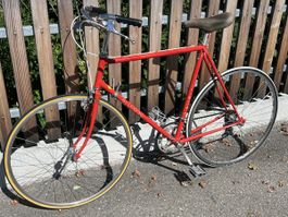 Allegro Rennrad Fahrrad Velo