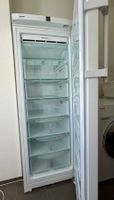 Gefrierschrank Liebherr 224 L