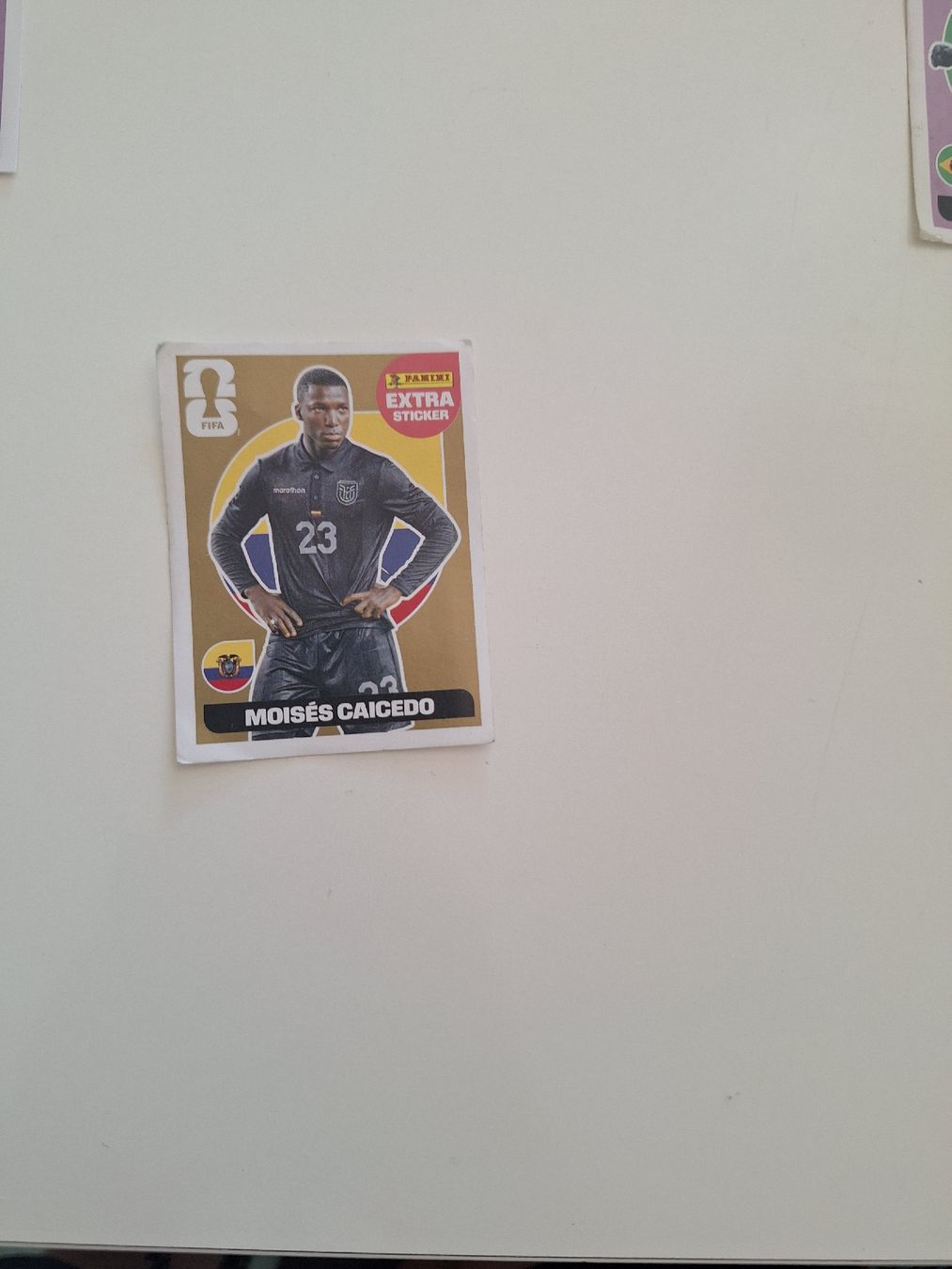 Panini Carte collezionabili: panini extra sticker WM 2026 – Usato da Olten venduto da Nakate 3