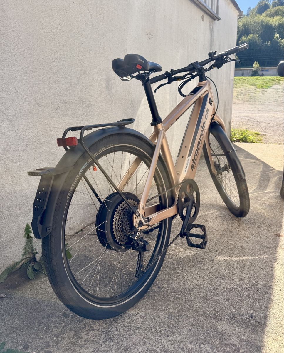 Stromer Biciclette: STROMER ST1X 45Km/h – Usato da Herisau venduto da eK61 6