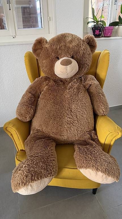 Giocattoli: Teddy Bear  – Usato da La Rippe venduto da christophelyner