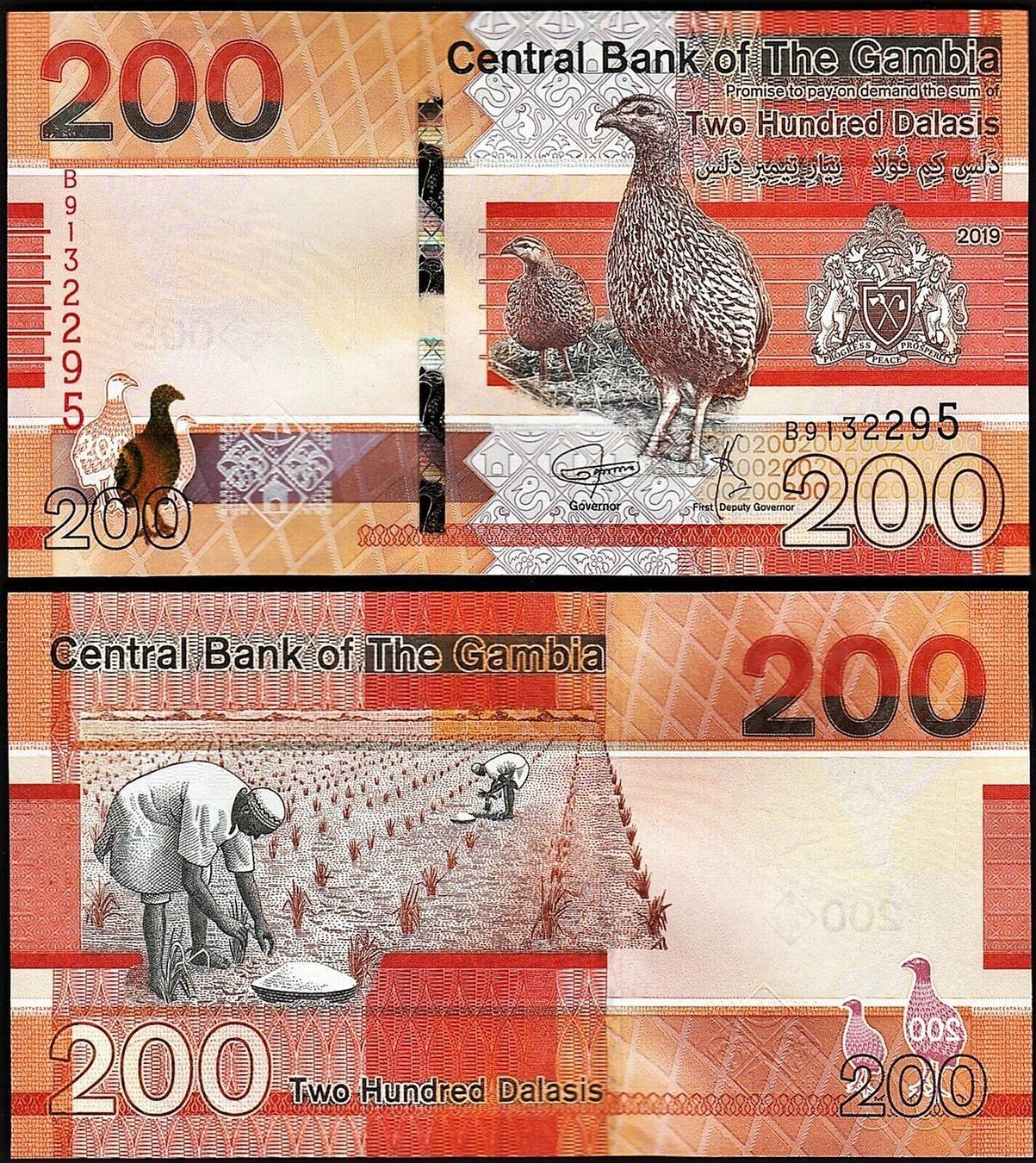 Banconote: Gambia Set 5.10.20.50.100.200 Dalasis – Nuovo e nell'imballaggio originale da Auw venduto da VIMM-78 6