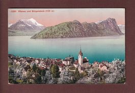 VITZNAU - Bürgenstock