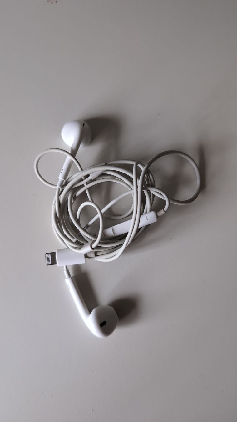 Apple Kopfhörer: EarPods mit Lightning Anschluss – Gebraucht aus Wallisellen von ali_x62p