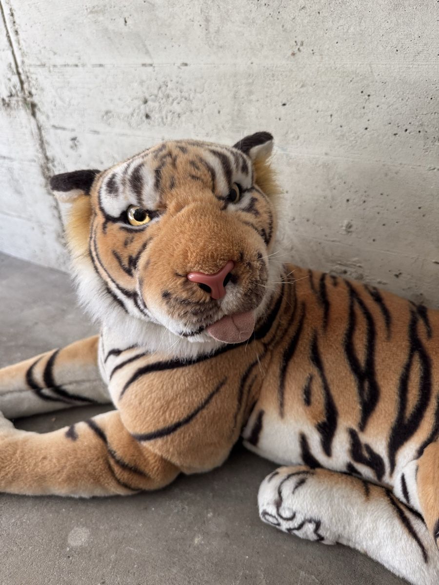 Giocattoli: Tiger – Usato da Bern venduto da ava_l8tk 1