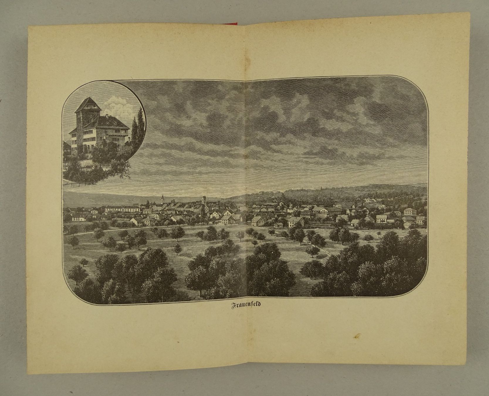 Libri: WANDERUNGEN DURCH DEN THURGAU, 1889 – Usato da Grüningen venduto da Kartensammler 2