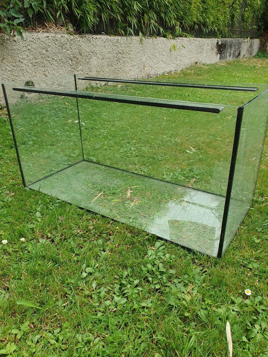 Aquarium: Aquarium – D'occasion à Däniken SO par Sonjab0