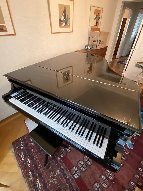 Instruments de musique: Piano à queue Yamaha – D'occasion à Morges par jul_698l
