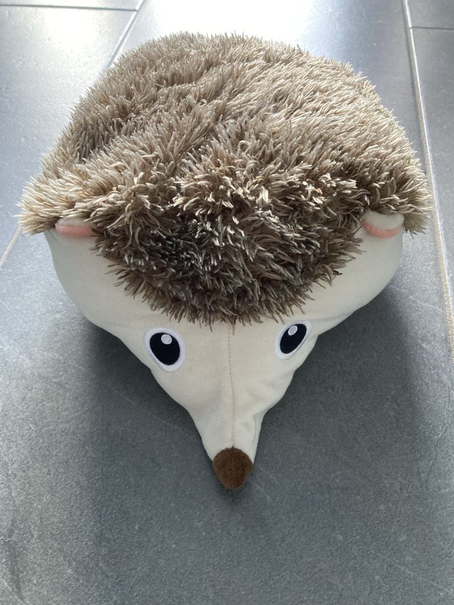 Coperte: Igel Decke – Usato da Lindau venduto da fam_pp2t