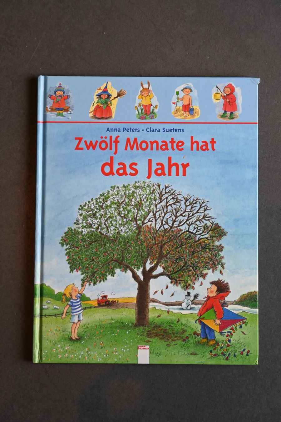 Libri: Zwölf Monate hat das Jahr – Usato da Dietikon venduto da Bhelbling