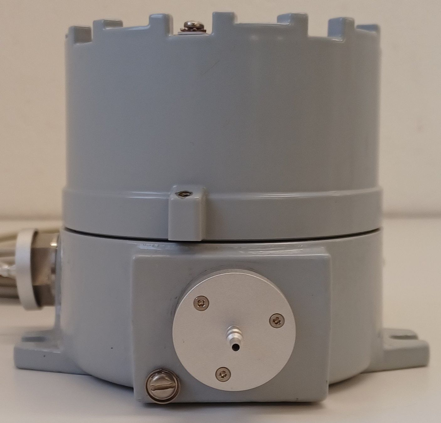 RAE Systems RAEGuard PID FGM-1000 Photoionization Detector (Defekt) in ...
