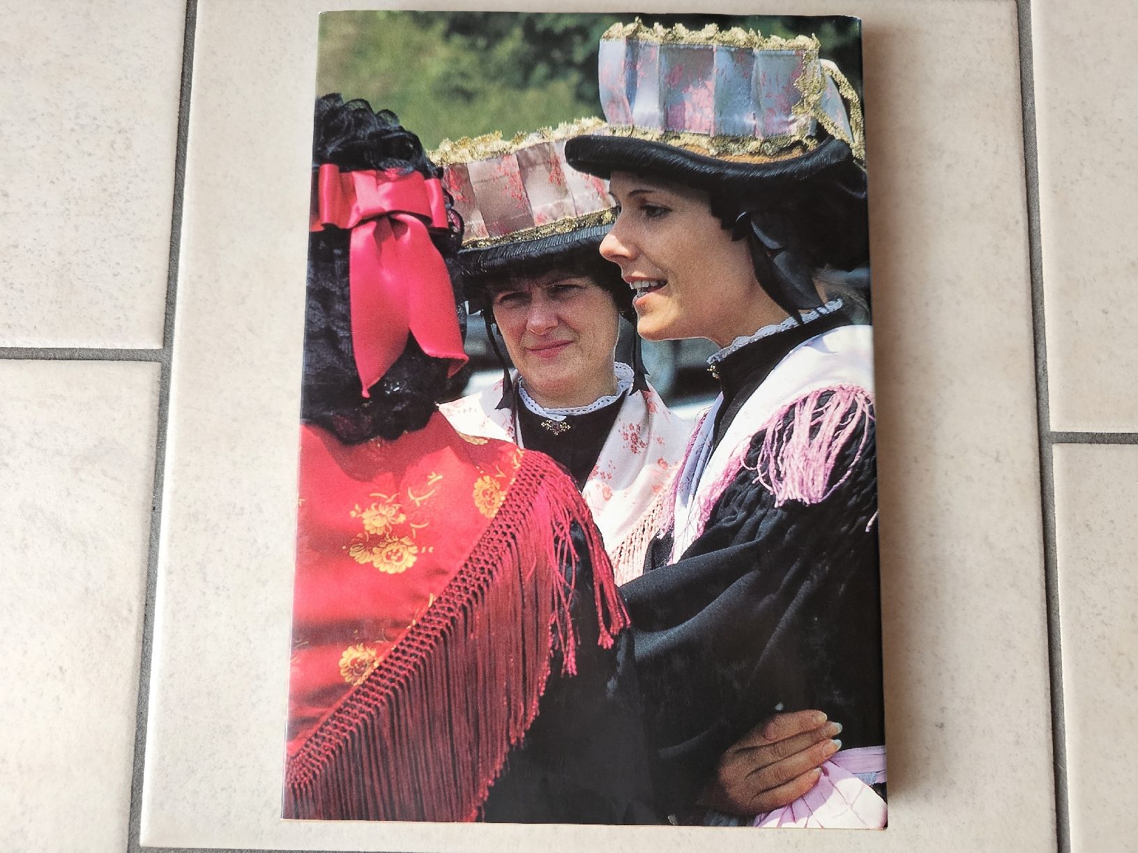 Libri: Wallis  /  176 Seiten – Usato da Schneisingen venduto da backstore24 1