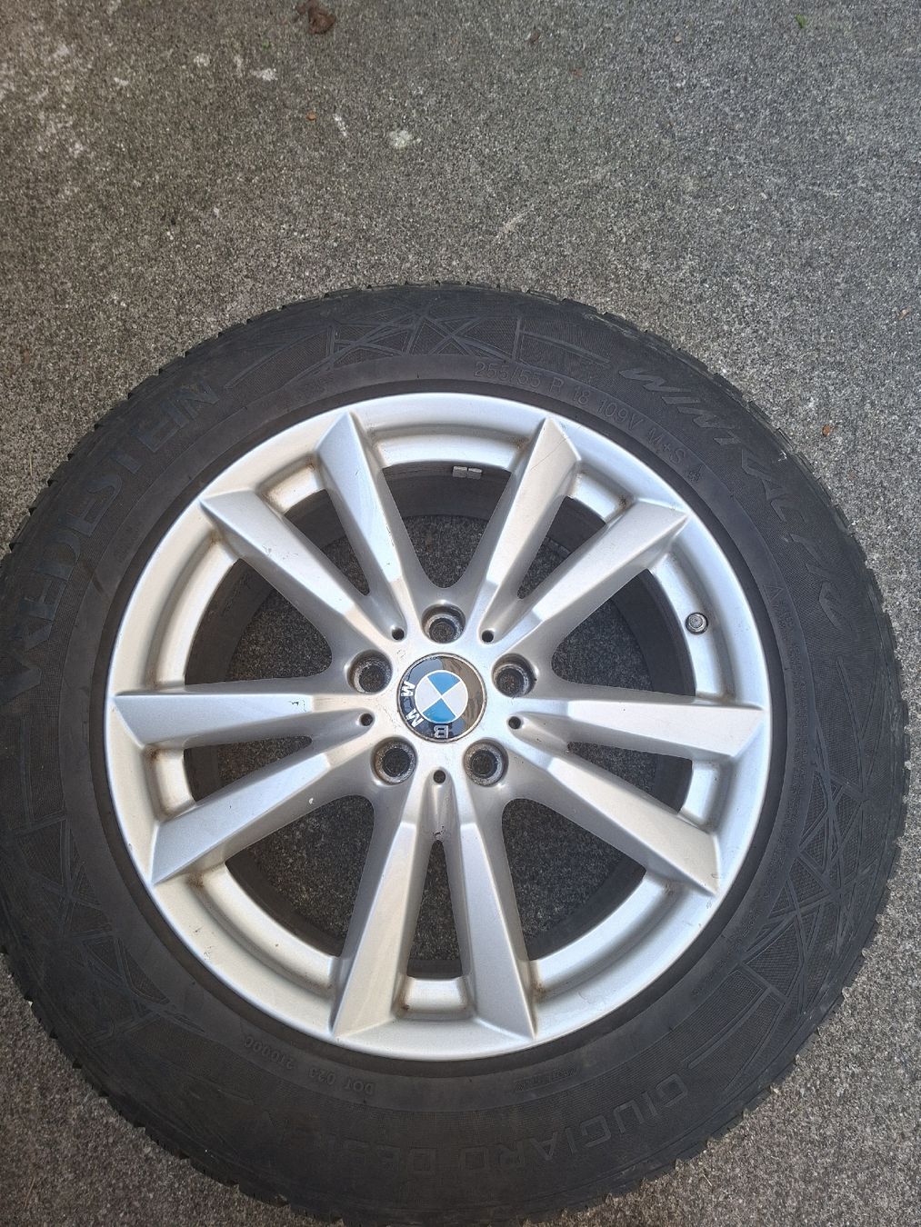 BMW Cerchioni: Alufelgen mit Winterreifen – Usato da Stein AG venduto da Salvi07.11.67 2