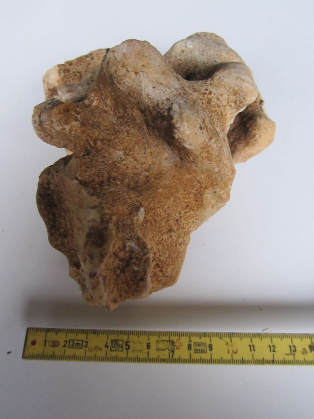Minerali & Pietre curative: Quarzitm ; Bristol Silver Mine UT, USA – Nuovo (secondo la descrizione) da Weier im Emmental venduto da waefler03 5