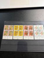 PJ mi Tabs