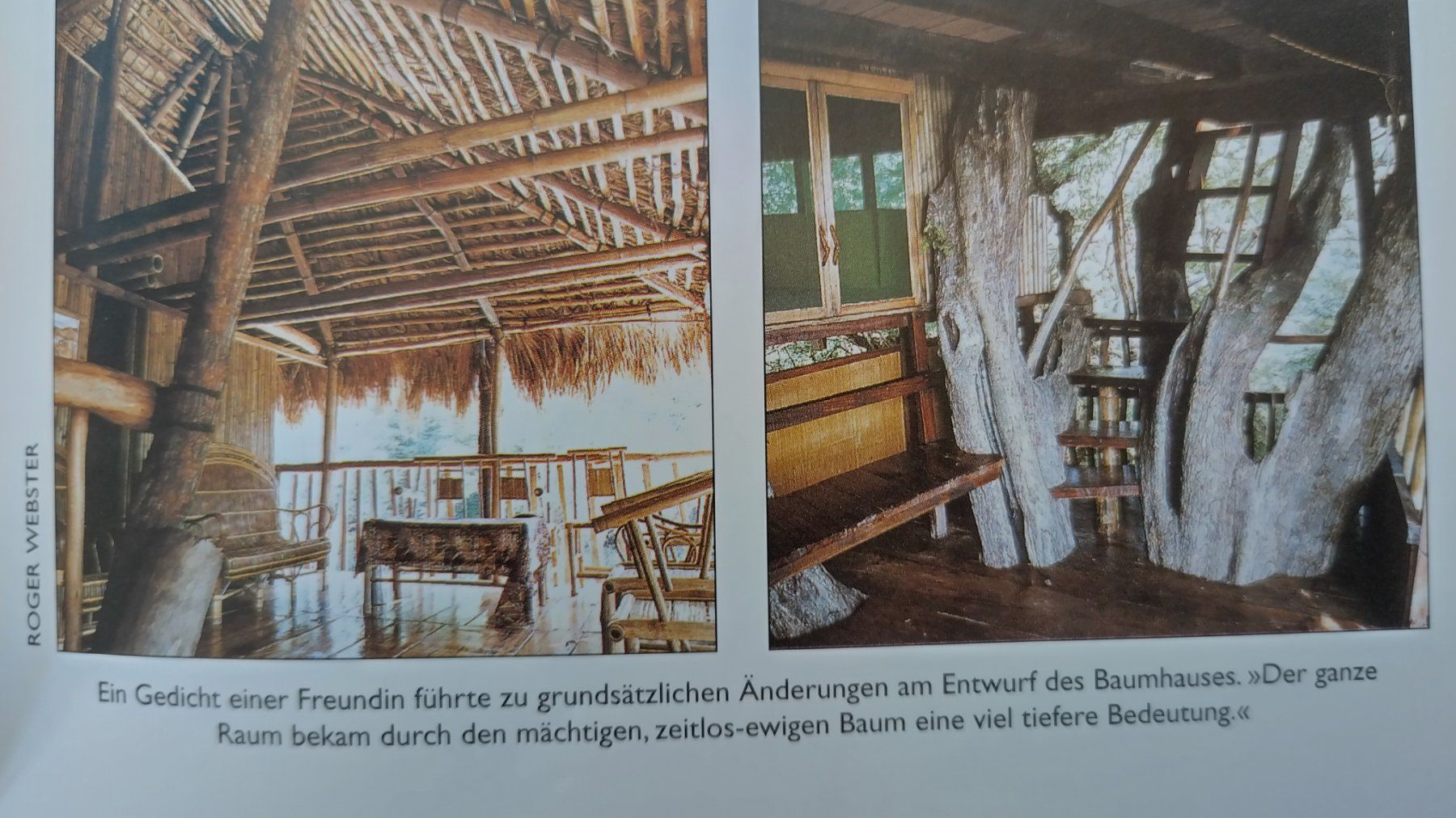 Libri: Baumhäuser / Buch 2001 mit 96 Seiten ab Fr. 8.- – Usato da Bellach venduto da JingleJerry 7