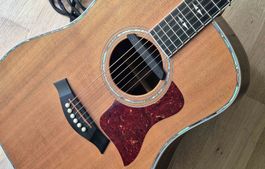 Taylor 810 LTD (Jahrgang 1997!)