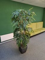 Kunstpflanze ca 220 cm Bambus inkl Topf