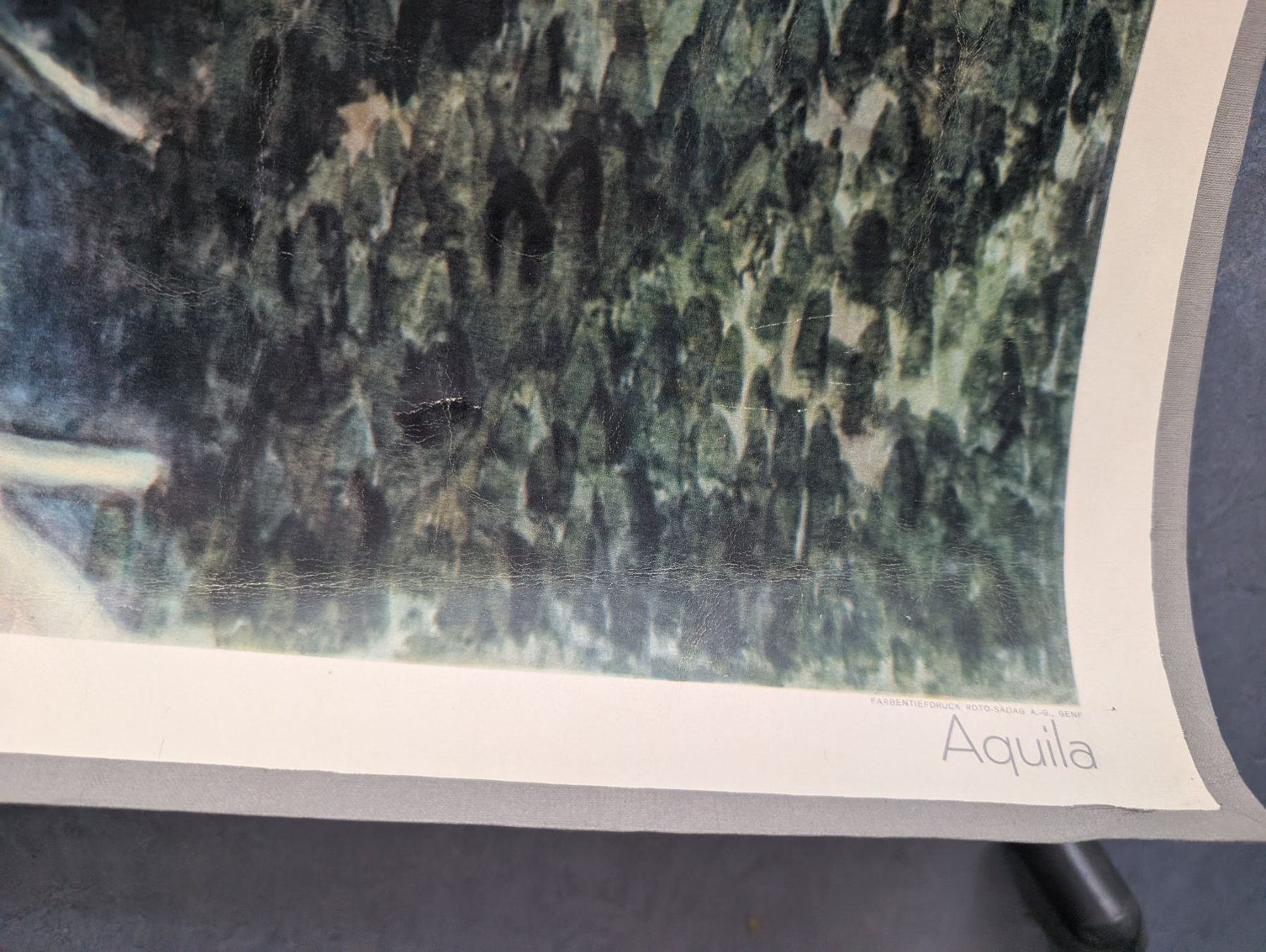 Foto & Immagini: Schulwandbild Nr. 57 - Adler – Usato da Luzern venduto da JenKu 3