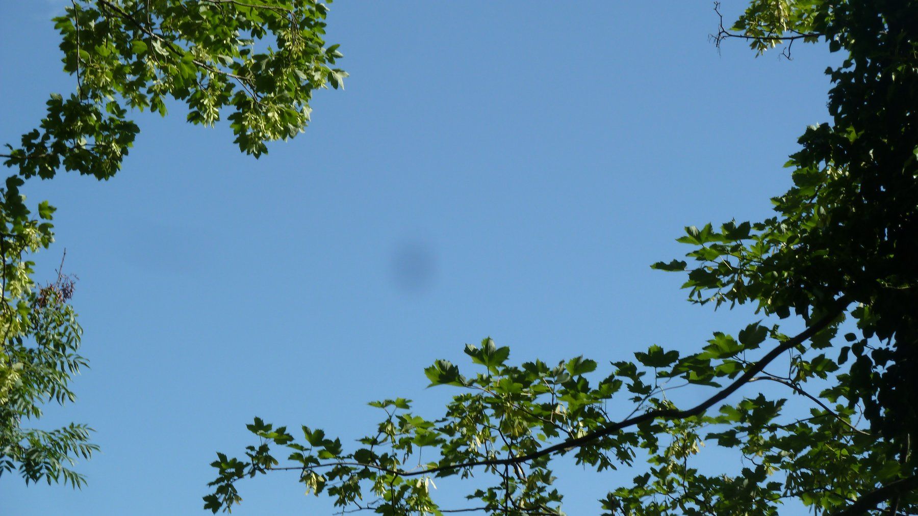 Panasonic Fotocamera: Panasonic Lumix TZ10 – Usato da Adliswil venduto da Painterman222 4