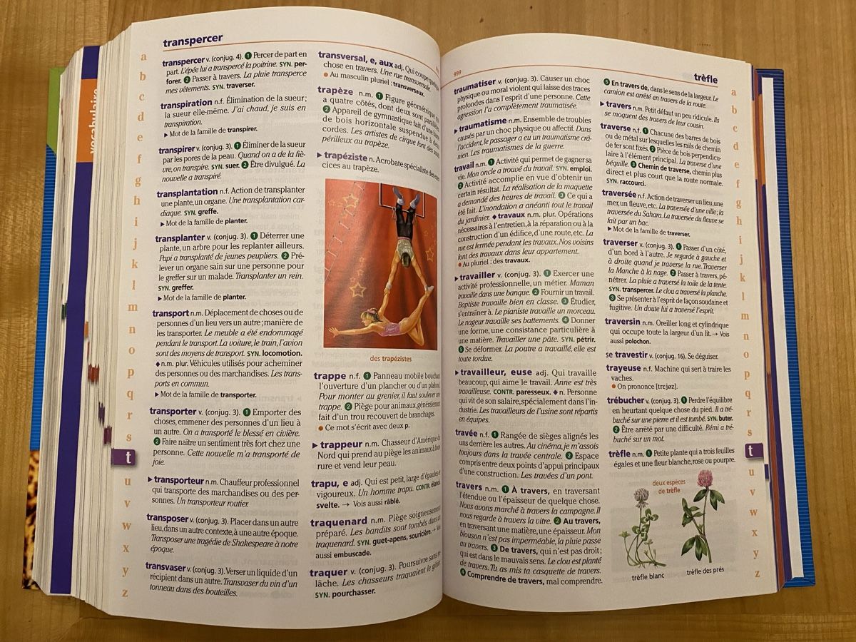 Libri: Dictionnaire 7-11 ans – Nuovo (secondo la descrizione) da sion venduto da ckmoi01 3