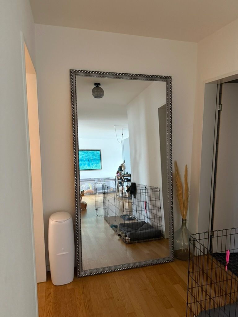 Spiegel: Spiegel 210 x 110 cm in Top Zustand! – Gebraucht aus ZUERICH von ckary85