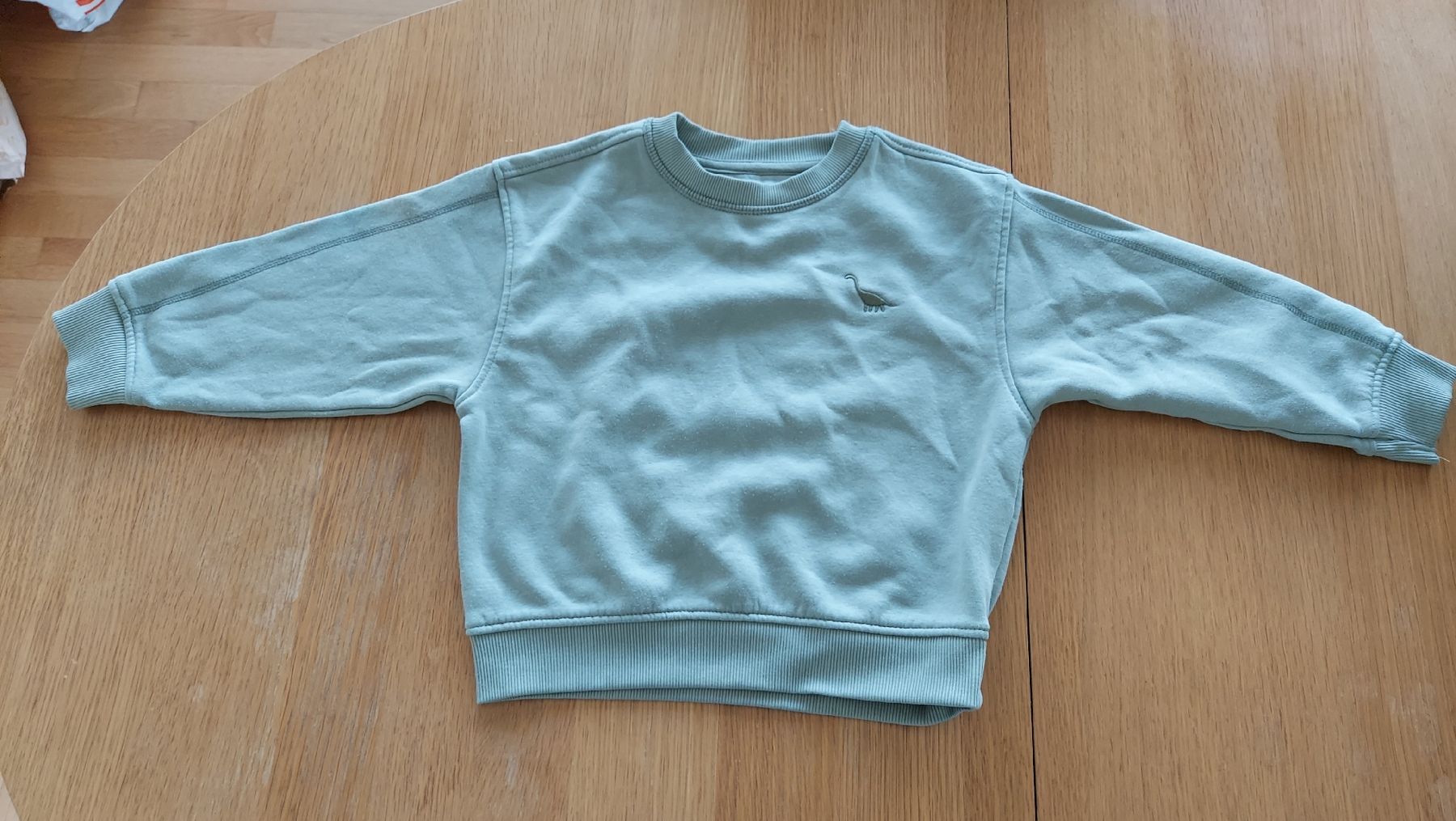 Primark Maglioni & Felpe: Pull enfant vert menthe Primark avec motif – Usato da Matran venduto da Swiss_Stuff_Store