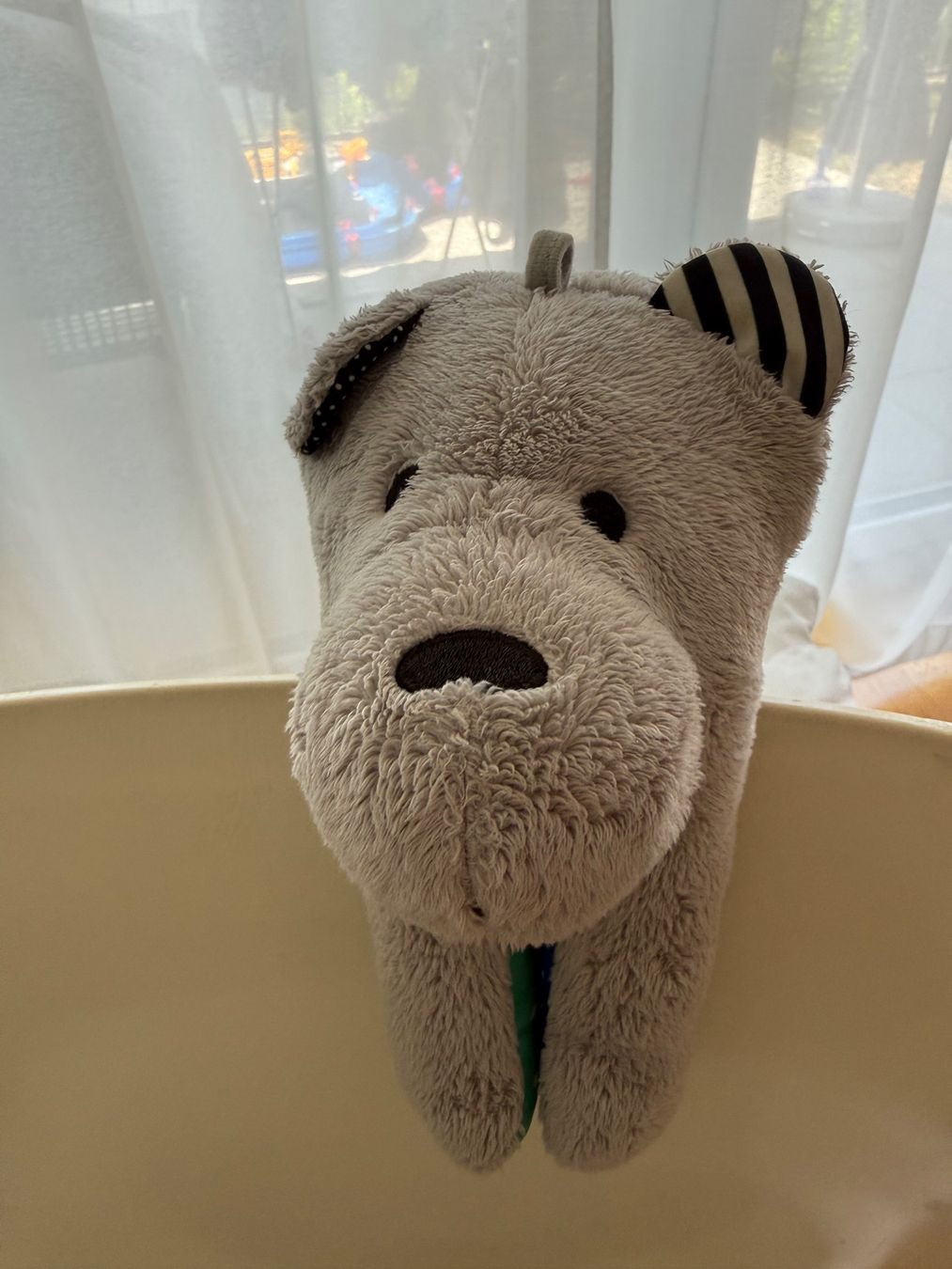 Giocattoli: Whisbear The Humming Bear – Usato da Meilen venduto da agn_5f8r 2