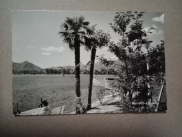 Muralto Locarno Partie am see s/w Karte