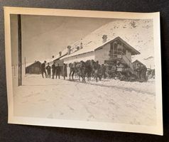 VINTAGE FOTO SCHWEIZER ARMEE PFERDE-UND SOLDATEN IM FELDE