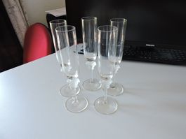 Rosenthal meets Versace Sektgläser 5 Stück