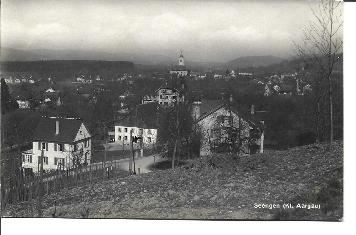 Cartoline postali: AK  Seengen  AG – Usato da Appenzell venduto da mai25