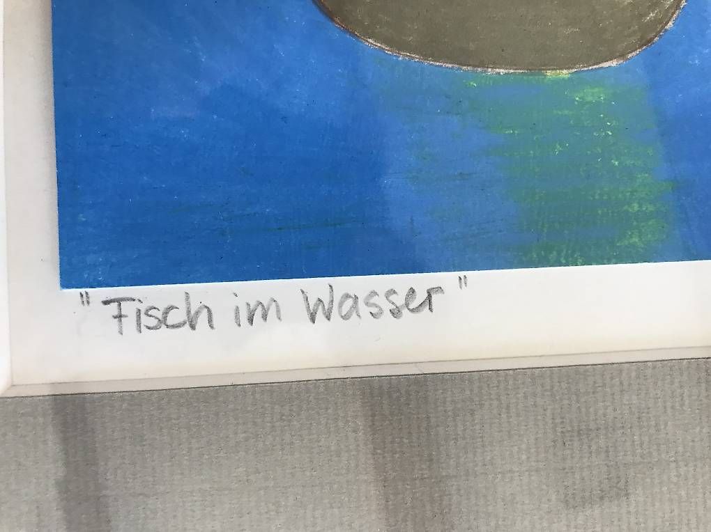 Foto & Immagini:  Bild , Fisch im Wasser, – Usato da Zihlschlacht venduto da peter.staecker2 1